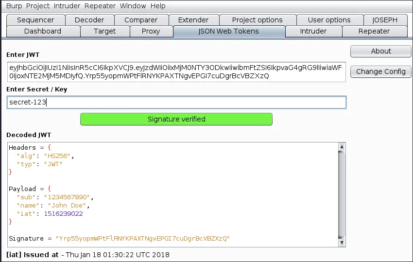 Decoded JWT and plain-text information inside it.